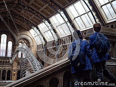 Students wearing blue jacket interestedly looking at huge Blue Whale skeleton Editorial Stock Photo